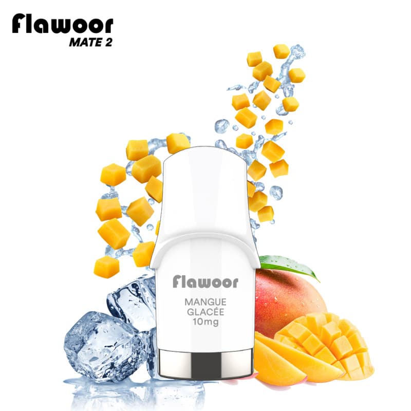 Flawoor CARTOUCHE MANGUE GLACÉE / 2PCS - FLAWOOR MATE 2