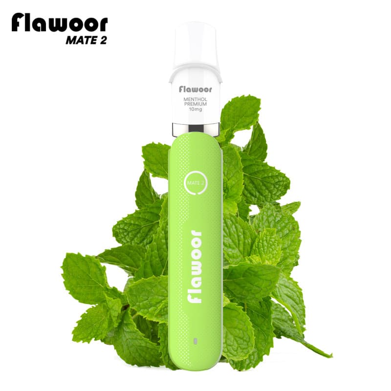 Flawoor KIT MENTHOL PREMIUM - FLAWOOR MATE 2